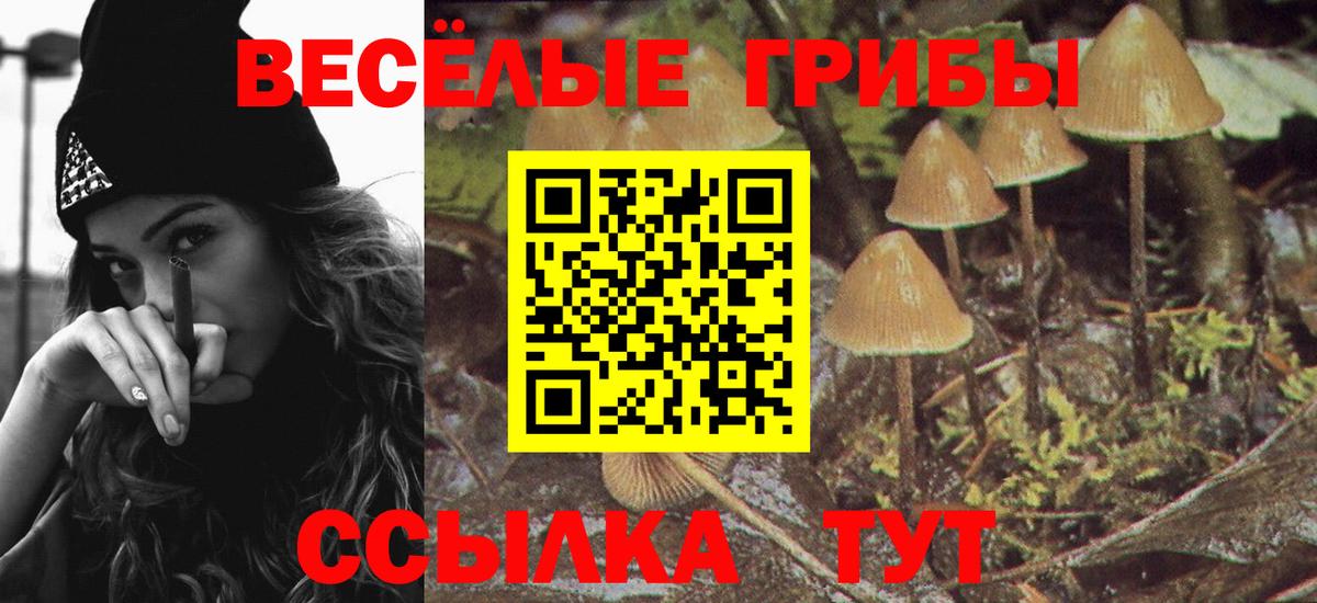 Псилоцибиновые грибы GOLDEN TEACHER  Вход с VPN  Кимры 